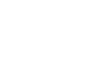 Plan Strategy Icon